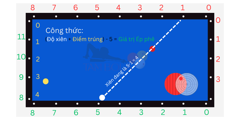 Bộ bola cúp siro