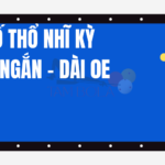 Bộ số Thổ Nhĩ Kỳ 0E – Dài – Ngắn – Dài