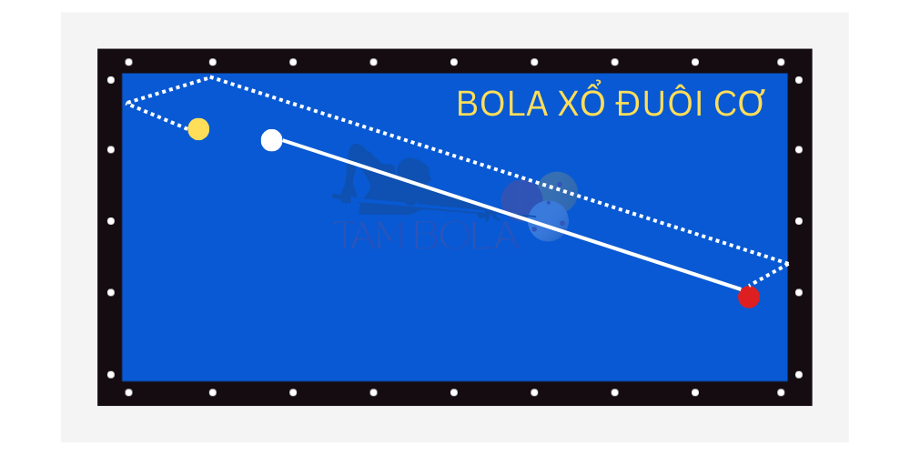 Bola xổ đuôi cơ